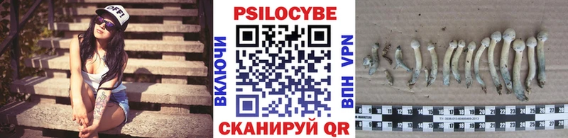 Псилоцибиновые грибы GOLDEN TEACHER  Купить  Киржач 